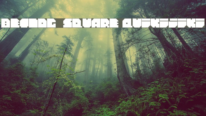 Betlog_Square[Quikijiki] Example 3