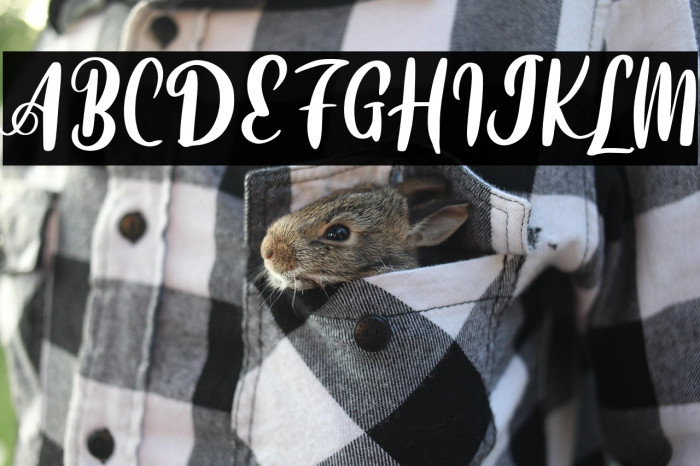 BetnefieFREE Example 1