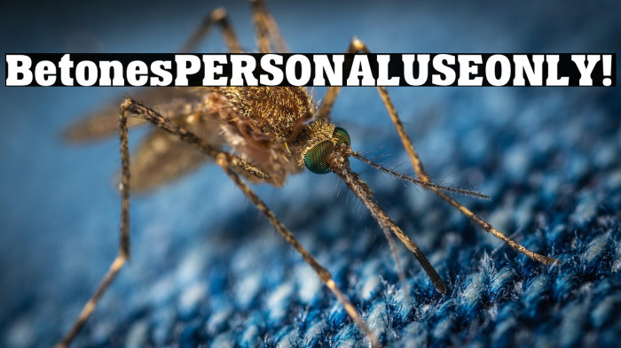 Betones PERSONAL USE ONLY! Example 1