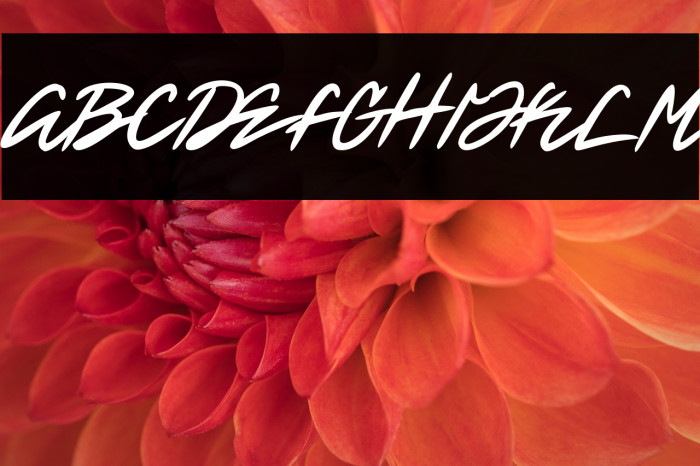 Betran Regular Example 3