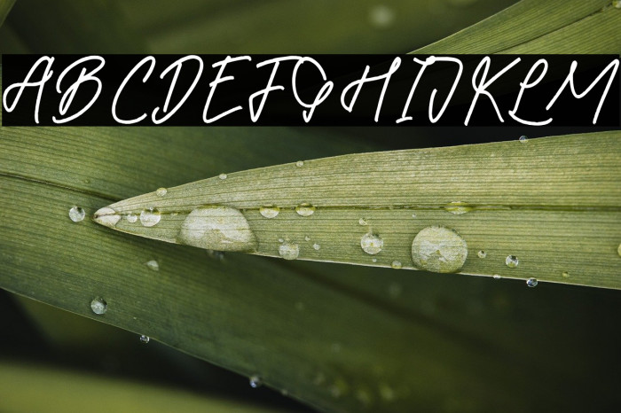 Betsy Gilbertos Example 3