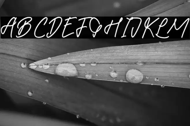 Betsy Gilbertos Font examples