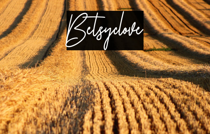 Betsyclove Example 1