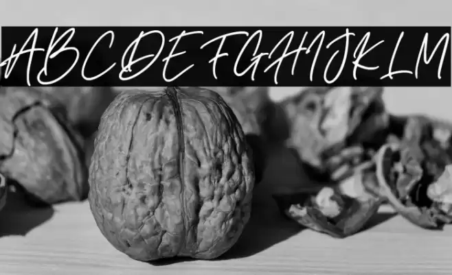 Bettanesia Font examples