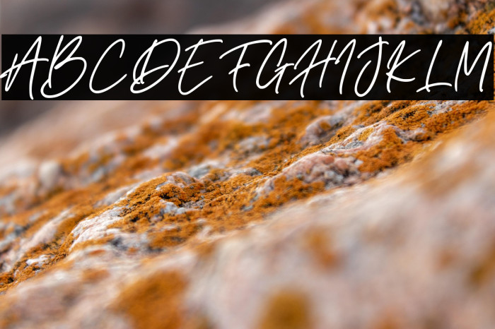 Bettanesia Example 3