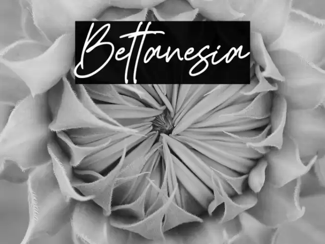 Bettanesia Font examples