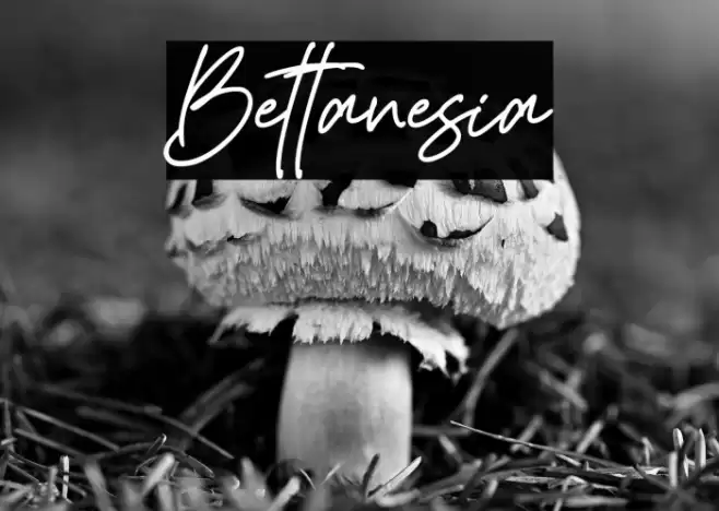 Bettanesia Font examples
