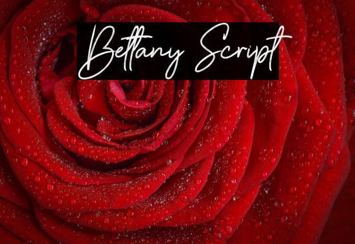 Bettany Script Example 1