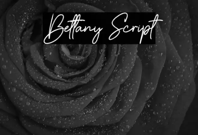Bettany Script Font examples
