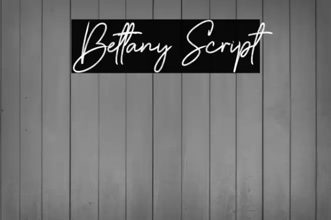 Bettany Script Font examples