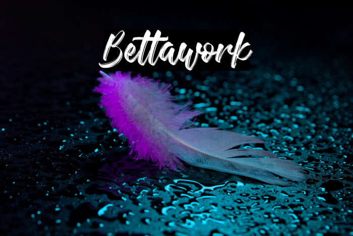 Bettawork Example 2