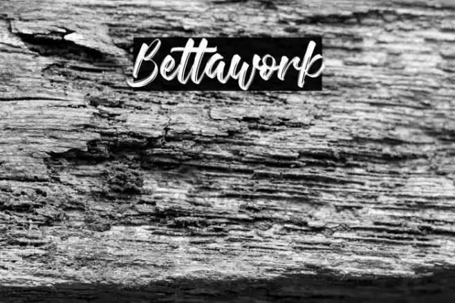 Bettawork Font examples