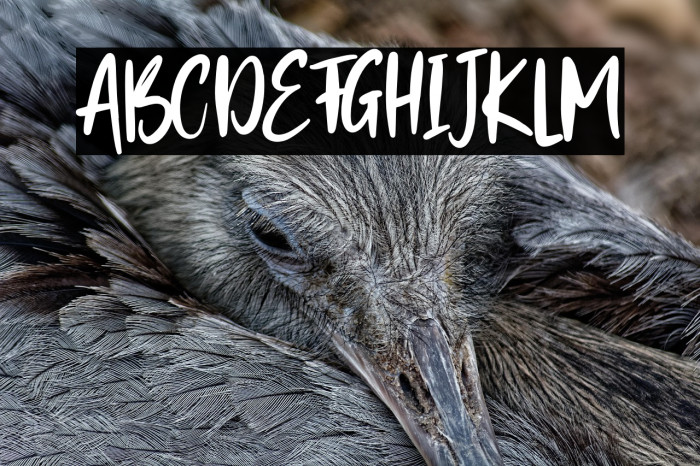 Better Alert Example 1