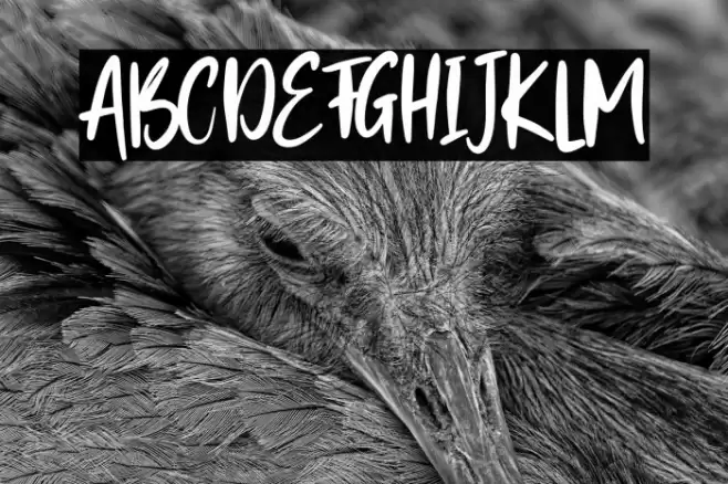 Better Alert Font examples