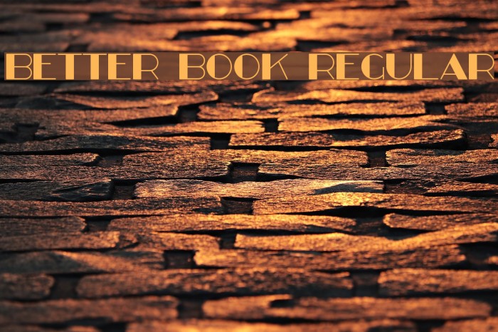 Better Book Regular Font examples