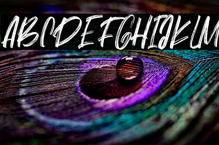 Better Brights Brush Regular Example 3