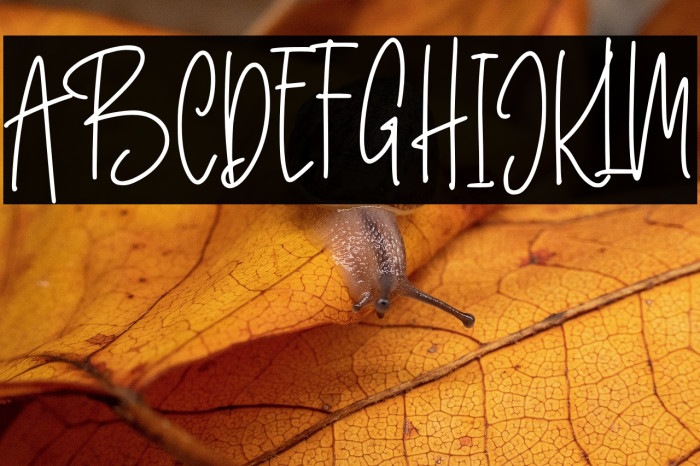 Better Caller Example 1