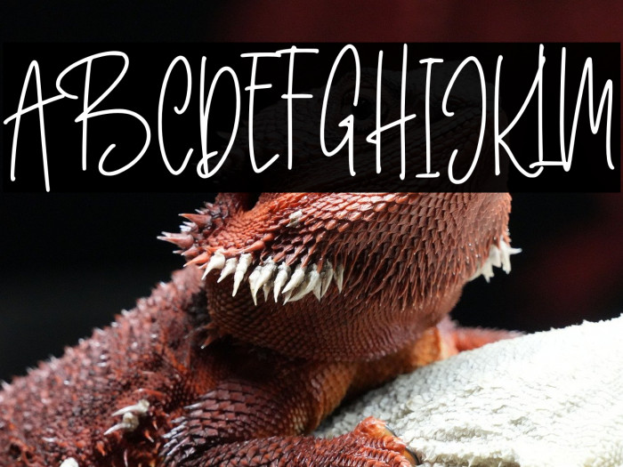 Better Caller Example 2