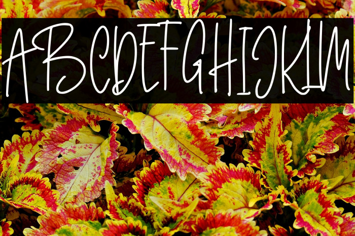 Better Caller Example 3