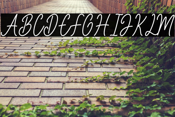 Better Castile Demo Example 1