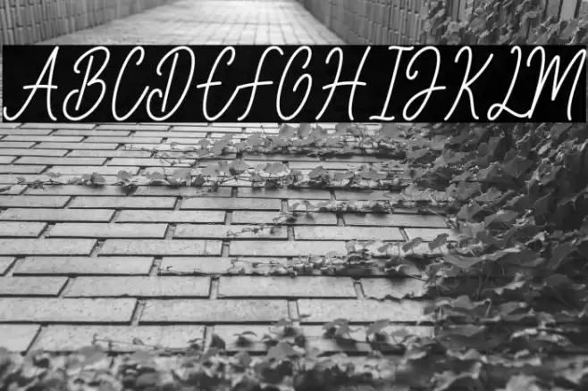 Better Castile Demo Font examples