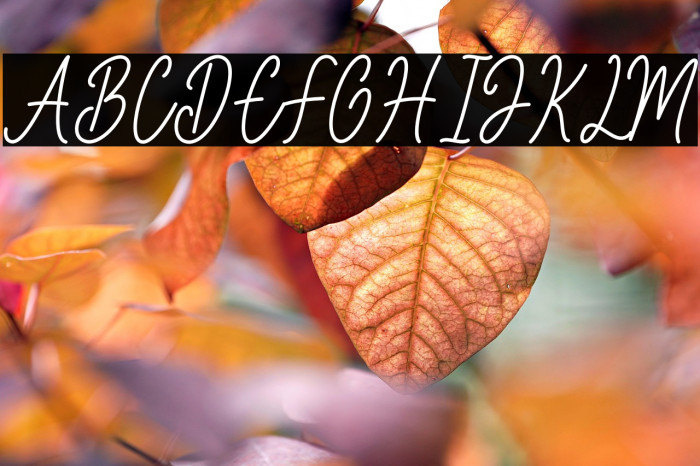 Better Castile Demo Example 2