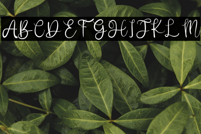 Better Day Example 2