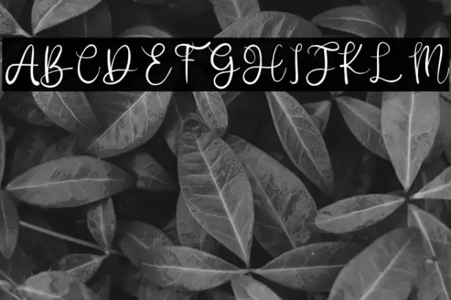 Better Day Font examples