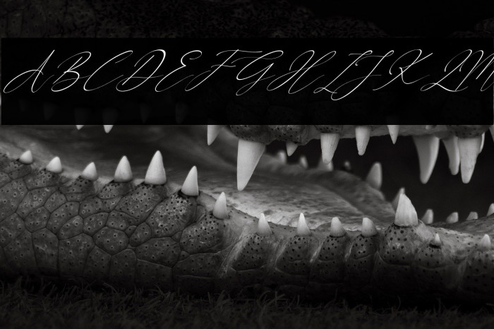 Better Diamond Italic Example 1