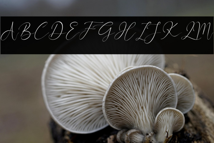 Better Diamond Example 2