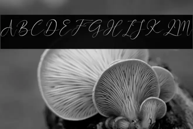 Better Diamond Font examples