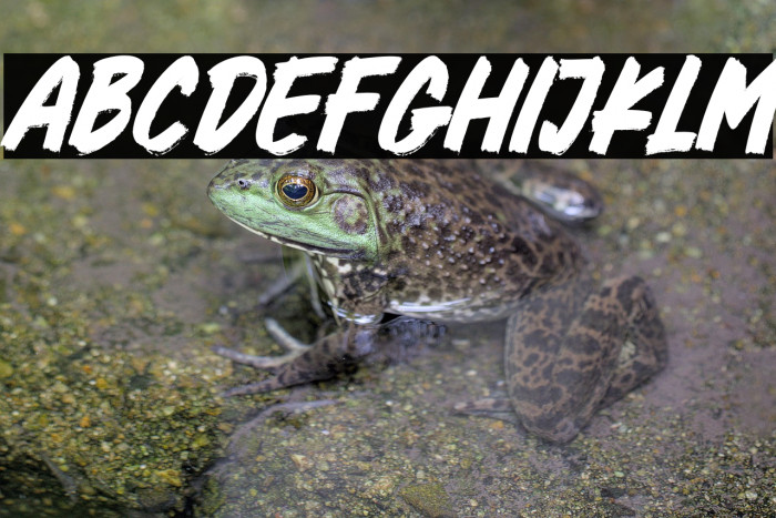 Better Faster Italic Example 2