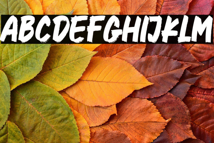 Better Faster Example 3