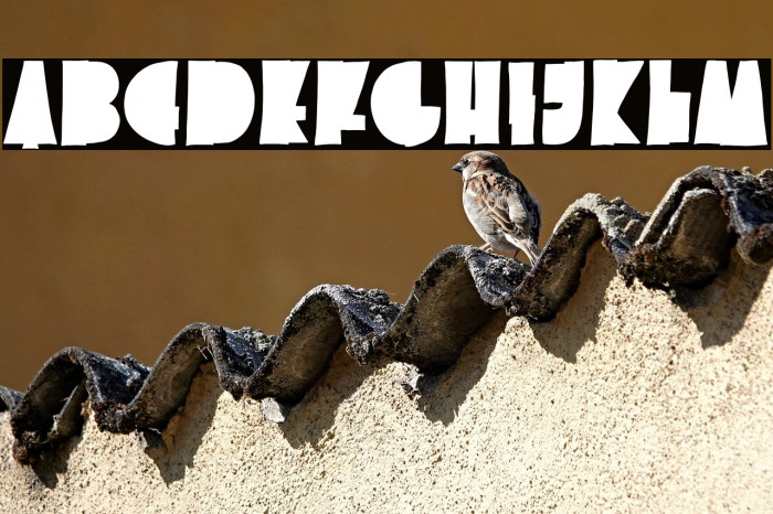 Better Hobby DEMO Example 2