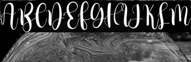 Better Holidays Polices examples