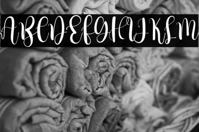 Better Holidays Polices examples