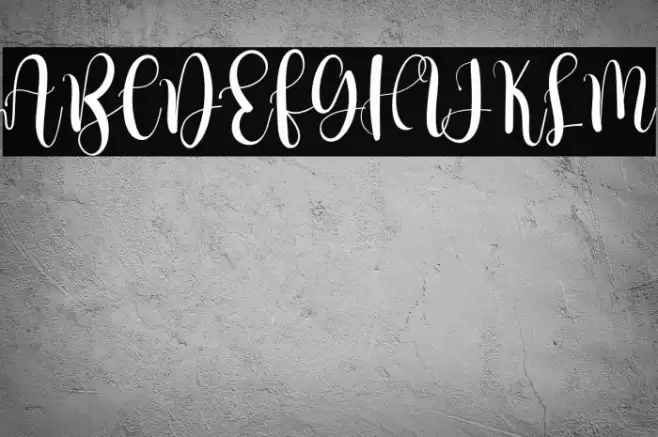 Better Holidays Polices examples