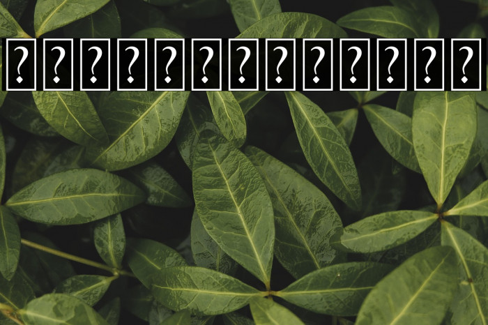 Better Jack Swash Example 2