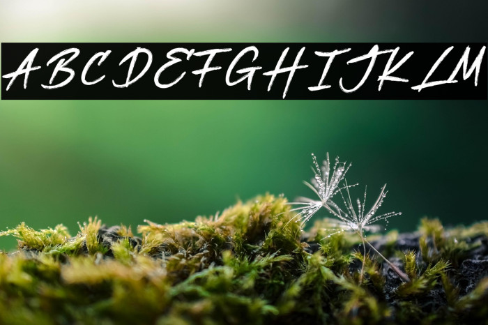 Better Jack Example 2