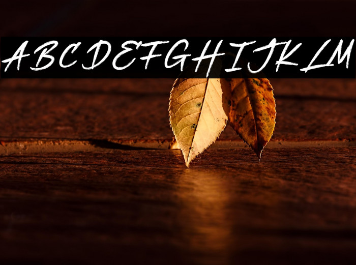 Better Jack Example 3