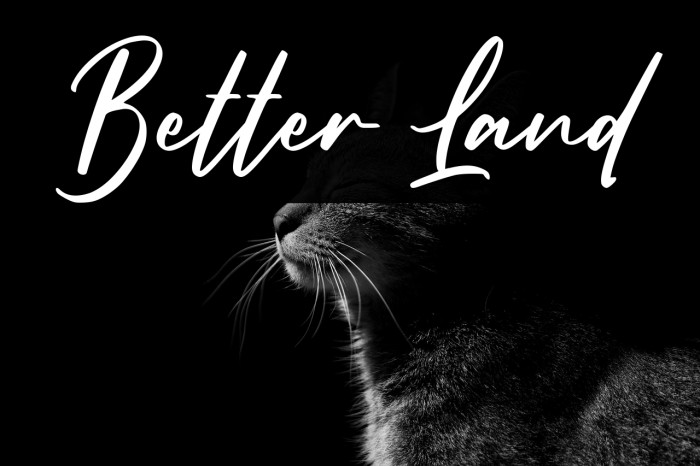 Better Land Example 1