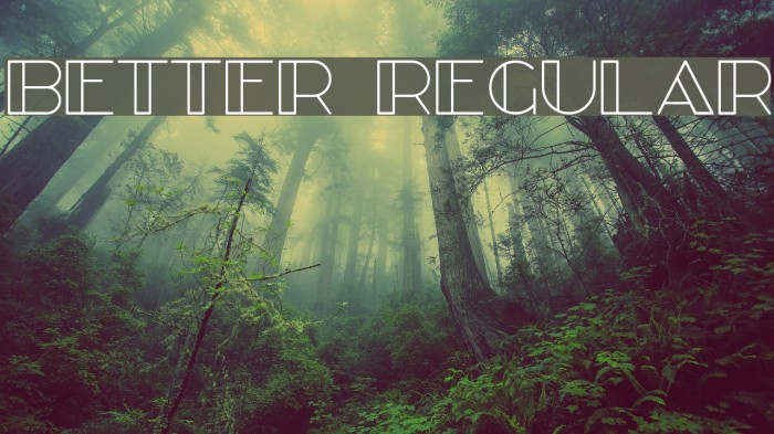 Better Regular Font examples