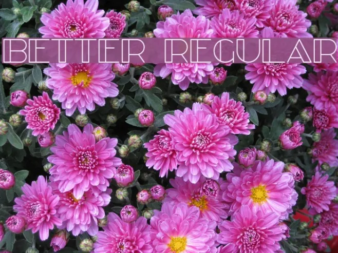 Better Regular Example 3