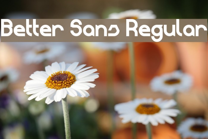 Better Sans Regular Font examples