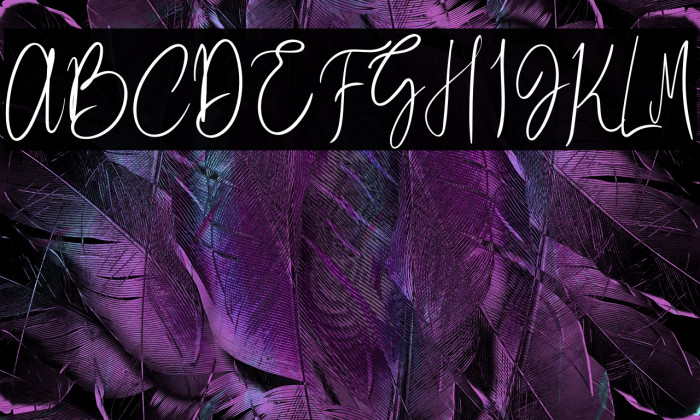 Better Saturday Personal Use Example 3