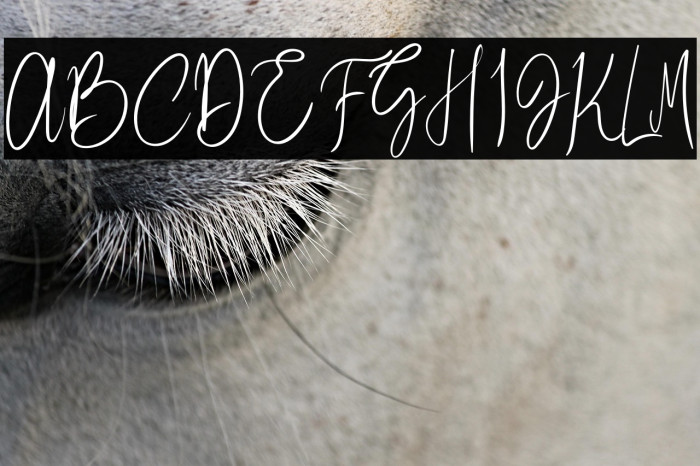 Better Saturday Example 2