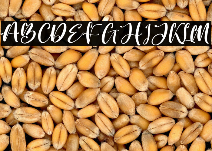 Better Spine Example 1