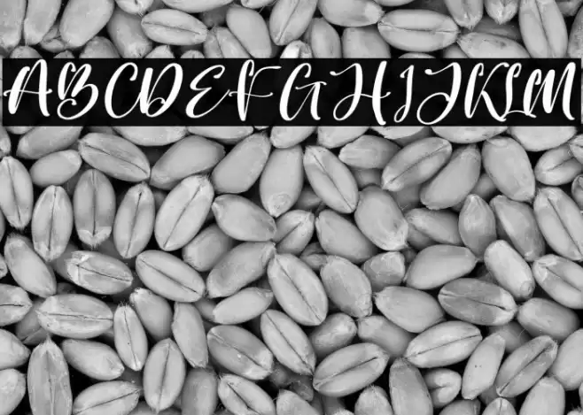 Better Spine Font examples