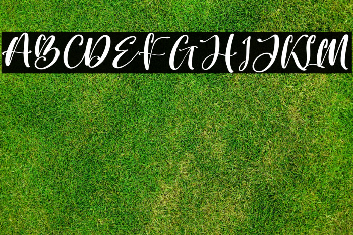 Better Spine Example 2