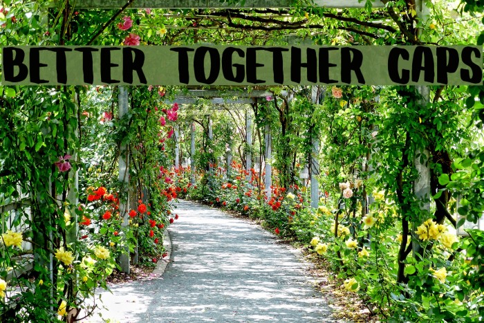 Better Together Caps Example 1